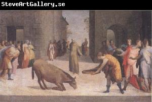 Domenico Beccafumi St Anthony and the Miracle of the Mule (mk05)